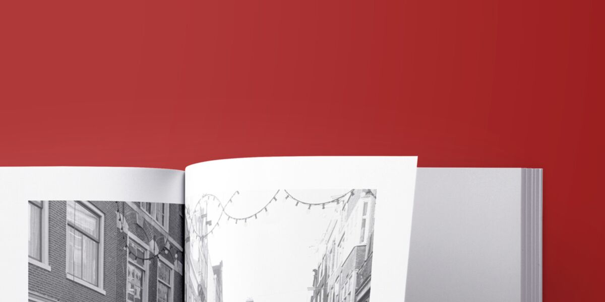 Bestel het boek online